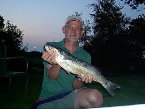 Multe 2003
