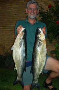 Mega multer på 5 og 6 kilo i Odense Fjord af Carsten Dybkjær